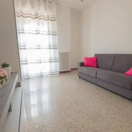Ficus 1 - *