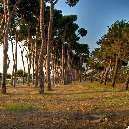 Apartamento Ficus 1 - Pineto