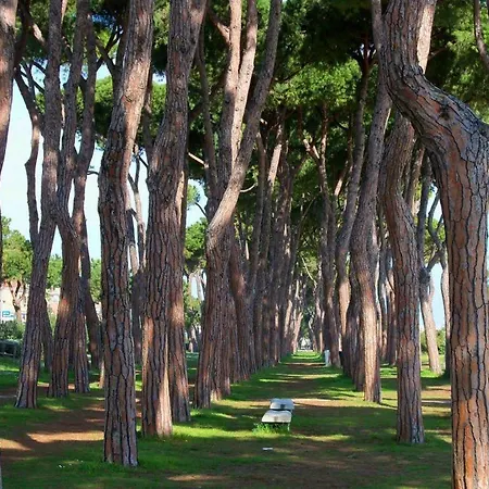 아파트 Ficus 1 - *