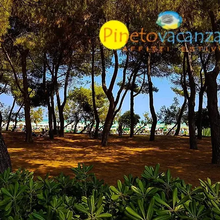 Ficus 1 - Apartamento *